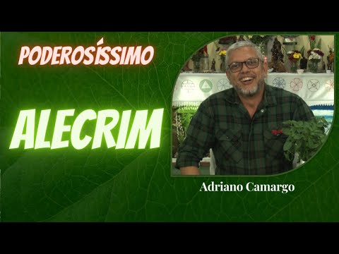 Alecrim com Adriano Camargo [Rituais com Ervas]