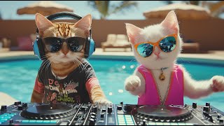 Download lagu DJ MIAWW Live – Love Beats by the Pool 🐾💕 | Chill House Grooves with the Coolest Cat Duo mp3