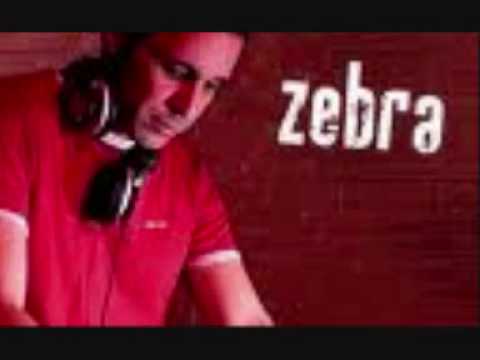 Dj Zebra - Franz Ferdinand - Get Down Saturday Night