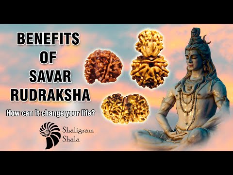 BENEFITS OF SAVAR RUDRAKSHA - How can it change your life?