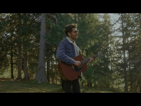 Gratitude - Dodo Danciu