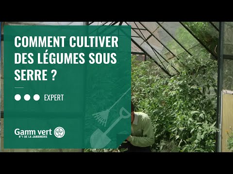 , title : '[TUTO] Comment cultiver des légumes sous serre ? - Jardinerie Gamm vert'
