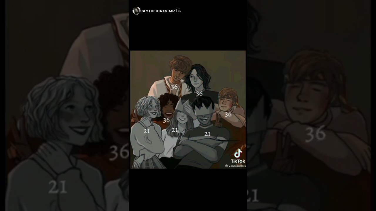 All the young dudes 🥺 aka the Marauders ❤️ (If you like harry potter you need to read it!)