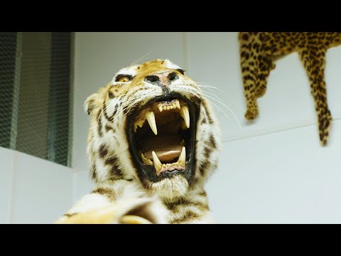 Inside the Dead Shed | Dan O'Neill Investigates | BBC Earth