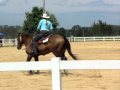 Goodwin NCRHA Show Green as Grass
