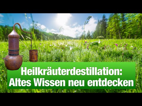 🌿 Herbal Distillation: How to Make Your Own Hydrosol & Essential Oil (Episode 1)