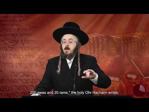 רגע קדוש מהאור החיים תשפ"ג - פרשת וישלח יום ב'
