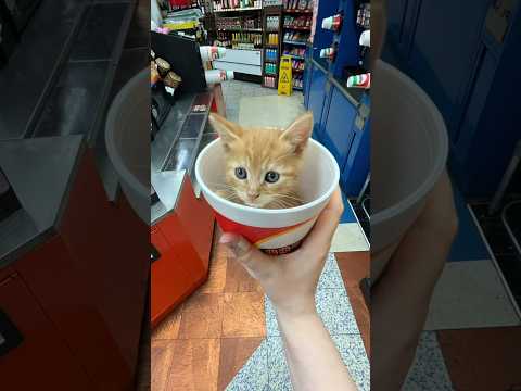 Personne ne le croira