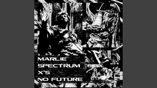 NO FUTURE
