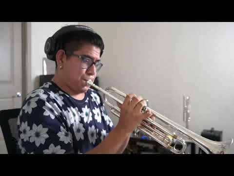 LOVE OF MY LIFE - QUEEN/Trumpet cover - Elmer Churampi