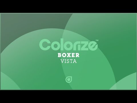 Boxer - Vista [OUT NOW]