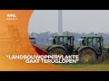 Landbouwdeskundige Louise Fresco: verplaats deel van onze landbouw naar Oost-Europa.