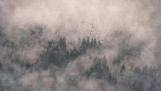 Frank Walker - Angel Falls