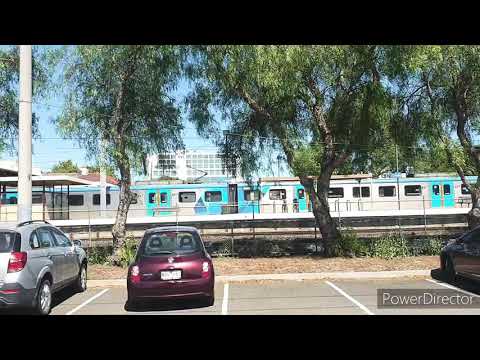 Australian Locomotives - Pacific National - 5MP2