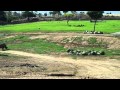 Exploring San Diego Wild Animal Park Tram Tour 2011 Part 1
