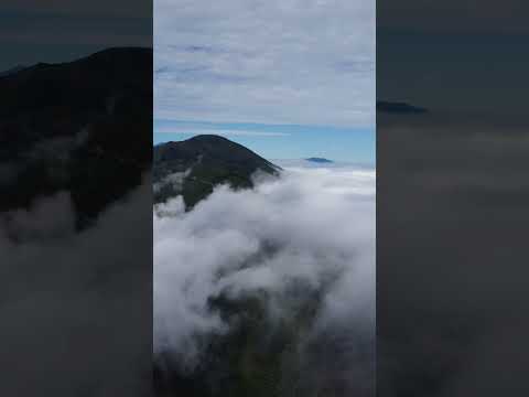 cordillera occidental LEIVA NARIÑO