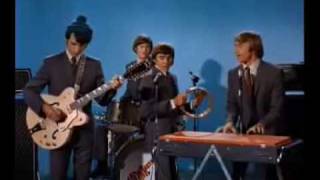 The Monkees - She