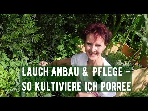 , title : 'Lauch Anbau & Pflege - so kultiviere ich Porree'