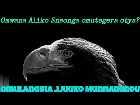Omwana Aliko Ensonga omutegera otya? - Omulangira Jjuuko Munnabuddu