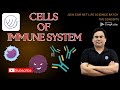 Cells Of Immune System Lymphoid Cells CSIR NET LIFE SCIENCE TNS CONCEPTS