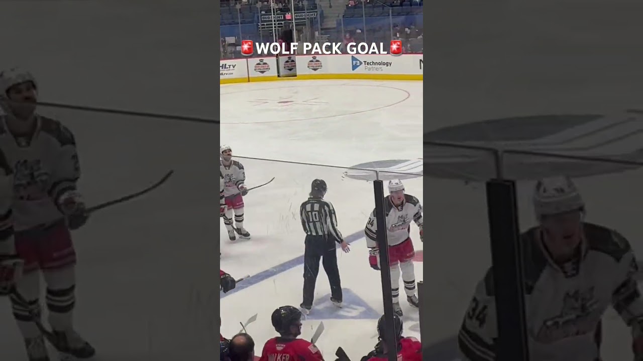 HARTFORD WOLF PACK GOAL!🥅 #Hockey #AHL #HartfordWolfPack #Hartford