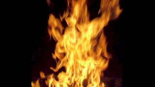 The Academy Is...- 40 Steps (Lyrics)