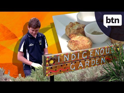 Bush Tucker Garden - Behind the News