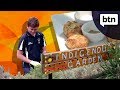 Bush Tucker Garden Behind The News