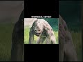 Horror Movies Movie Godzilla Film Movieclips Kingkong Haunted Viral