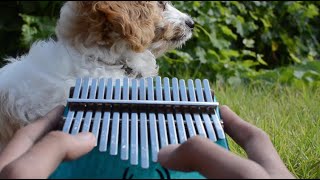 Can&#39;t Help Falling in Love Kalimba Cover (feat Pebbles)