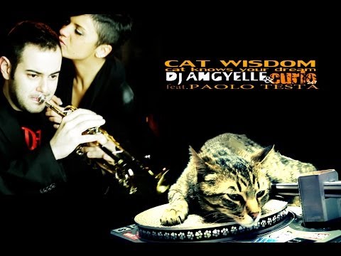 Dj Angyellle & Curio 247 feat. Paolo Testa - Cat Wisdom