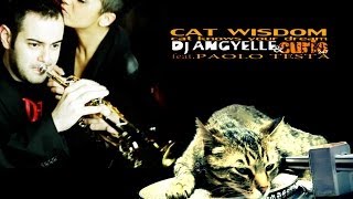 Dj Angyellle & Curio 247 feat. Paolo Testa - Cat Wisdom