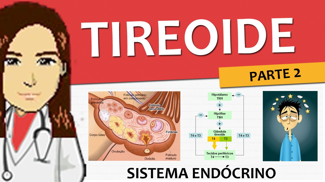 Sistema Endócrino 04 - Tireoide P2 (fisiologia - transporte e funções) - Vídeo-aula