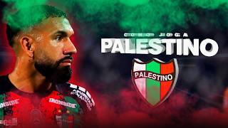 Quem é o Palestino? Conheça o próximo rival do Grêmio na Sul-Americana