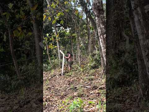 Propiedad en tempisque Sensuntepeque cabañas #lotesenventa