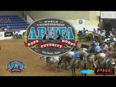 R1 NON PRO HEELING WINNER JADE PHILIPP on CHULATALLIC 2022 ARHFA World Championships