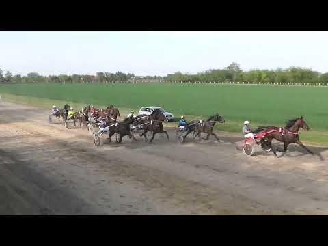 Trka "Memorijal dr Lazar Panković" 8.5.2022. Iago d'Amore - Vereb Andor