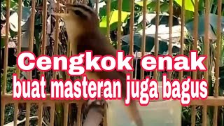 Download lagu KERAK BASI ALIS HITAM GACOR ISIAN mp3 Download lagu KERAK BASI ALIS HITAM GACOR ISIAN mp3