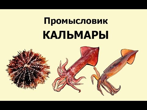 Русская Рыбалка 3.99 Промысловик 8 - Кальмары