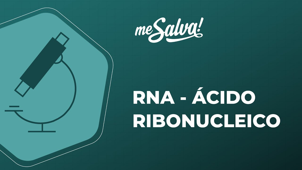 RNA – Ácido Ribonucleico - Biologia Molecular - Me Salva! Saúde