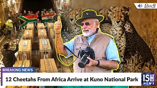 12 Cheetahs From Africa Arrive at Kuno National Park