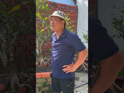 Đổi Không Khí #videogiaitri #vochongson #nguyenhuyvlog #haihuoc #giaitri