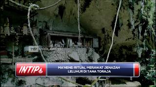 MA' NENE : Ritual Merawat Jenazah Leluhur di Tana Toraja - INTIPS