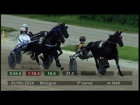 2024 05 01 | Corsa 2 | Metri 1660 | Premio Bologna Equestrian Center