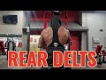 REAR DELTS WORKOUT #damianbaileyfitness #reardelts #dbfittv