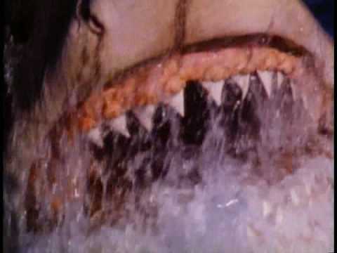 afbeelding JAWS: The Revenge Trailer HQ