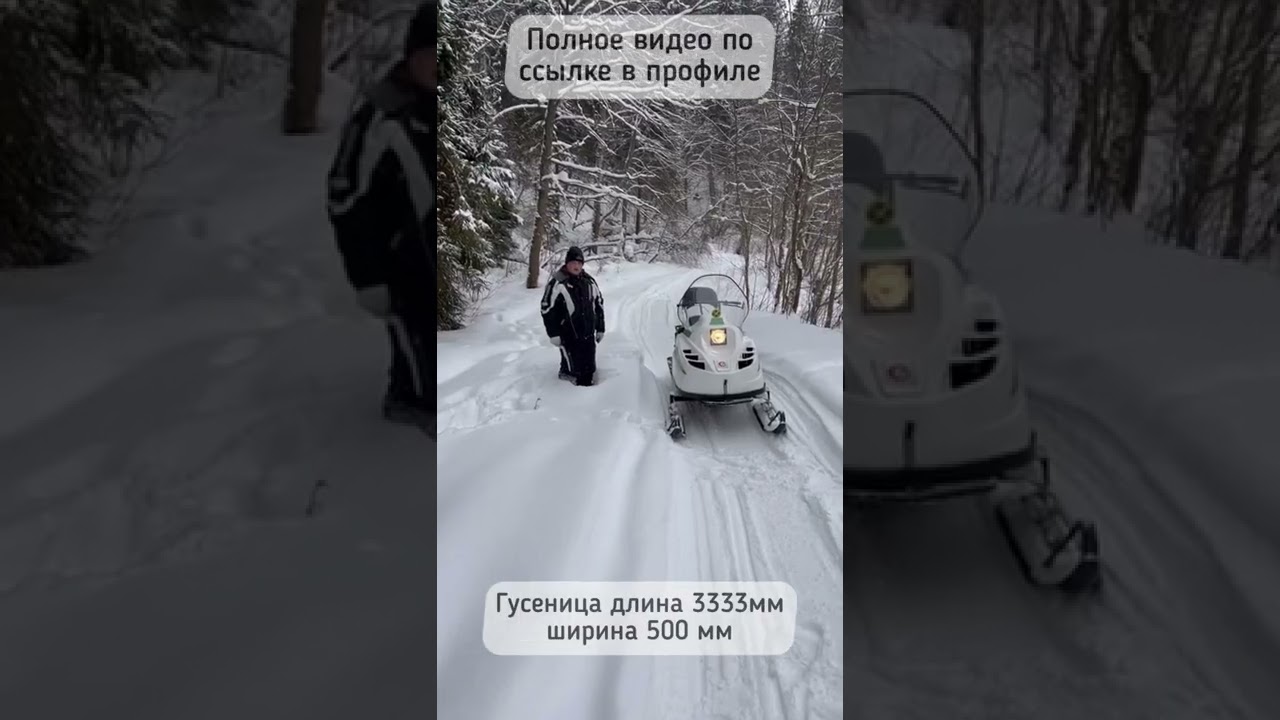 Снегоход БТС Артик в пухляке
