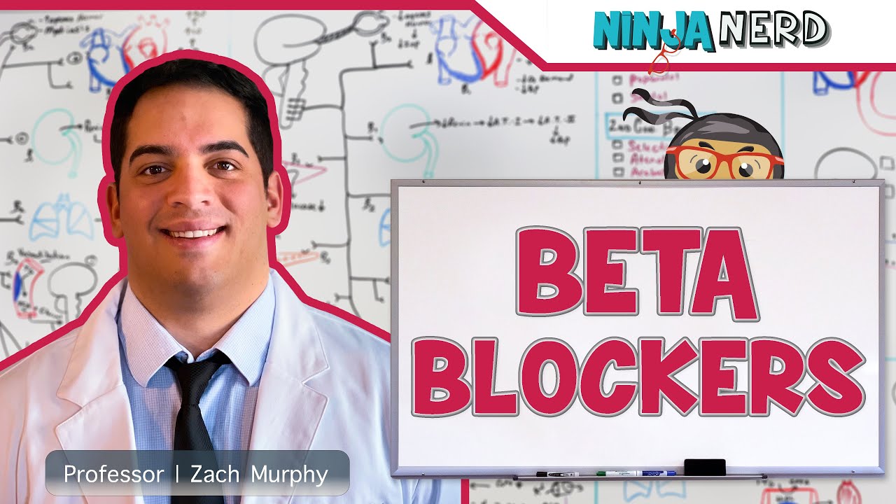 Beta Blockers | Mechanism of Action, Indications, Adverse Reactions, Contraindications