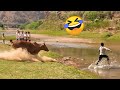 TRY NOT TO LAUGH Best Funny Videos Compilation Memes PART 228
