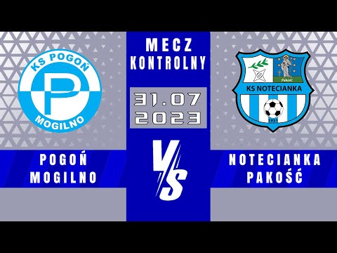 SPARING | Pogoń Mogilno - Notecianka Pakość | 8 - 1